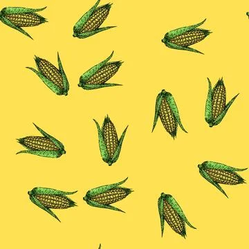 Pattern fresh corn sketch hand drawn Stock Illustration