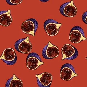 Pattern fresh fig sketch hand drawn Stock Illustration