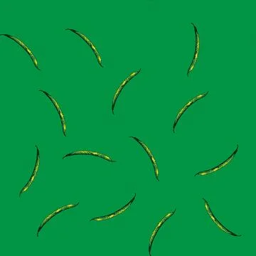 Pattern fresh geen beans sketch hand drawn Stock Illustration