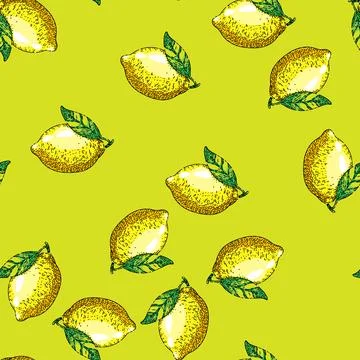 Pattern fresh lemon sketch hand drawn Stock Illustration