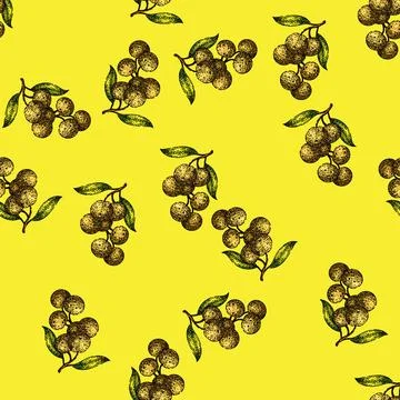 Pattern fresh longan fruit sketch hand drawn Stock Illustration