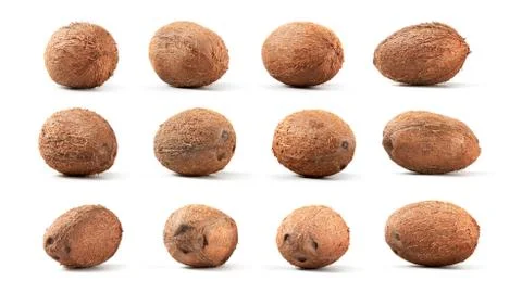 Pattern from fresh ripe coconuts on a white background. Foto stock