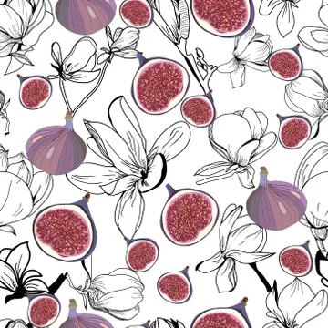 Pattern with fresh ripe delicious figs whole and half and magnolia flower. Stock Illustration