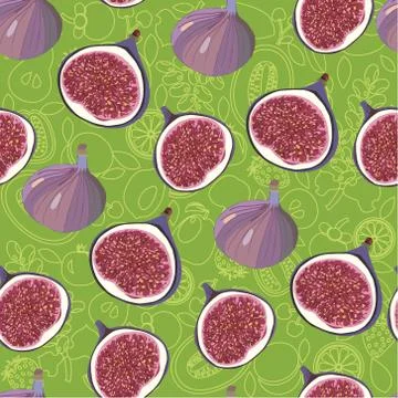 Pattern with fresh ripe delicious figs whole and half on green background. Stock Illustration
