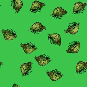 Pattern fresh tarragon sketch hand drawn Stock Illustration