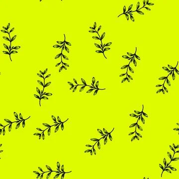 Pattern fresh thyme leaf sketch hand drawn Stock Illustration