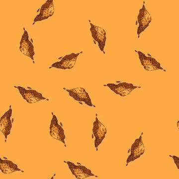Pattern fresh turmeric sketch hand drawn 库存插图