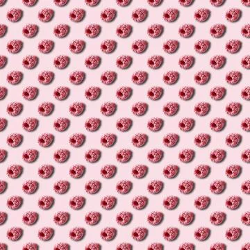 Pattern of frozen raspberry berries on a pink background. 스톡 사진