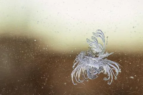 Pattern on frozen window Stock Photos