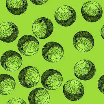 Pattern fruit amla sketch hand drawn Stock Illustration