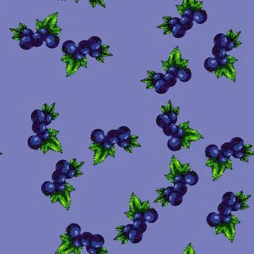 Pattern fruit black currant sketch hand drawn Stock Illustration