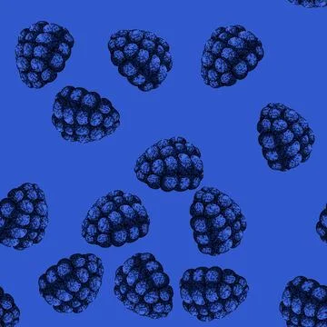 Pattern fruit blackberry sketch hand drawn Stock Illustration