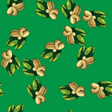 Pattern fruit cashew nut sketch hand drawn Stock Illustration