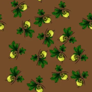 Pattern fruit gooseberry sketch hand drawn Stock Illustration