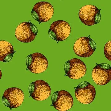 Pattern fruit grapefruit red sketch hand drawn 库存插图