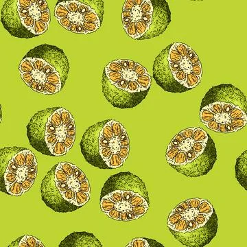 Pattern fruit jackfruit sketch hand drawn 스톡 일러스트