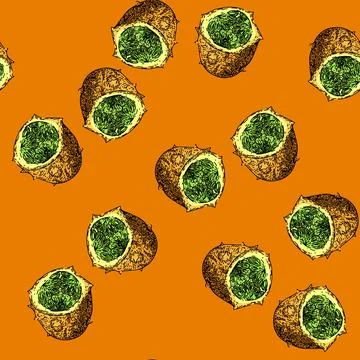 Pattern fruit kiwano sketch hand drawn 스톡 일러스트