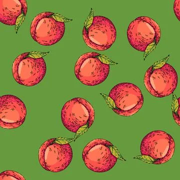 Pattern fruit peach sketch hand drawn Illustrazione stock