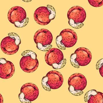 Pattern fruit peach sketch hand drawn Illustrazione stock