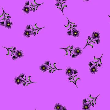 Pattern garden aster sketch hand drawn Stock Illustration
