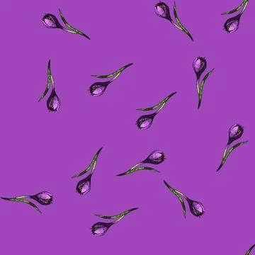 Pattern garden crocus sketch hand drawn Stock Illustration