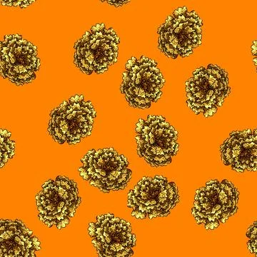 Pattern garden marigold sketch hand drawn Stock Illustration