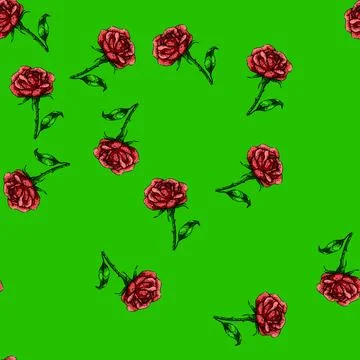 Pattern garden rose flower sketch hand drawn Stock Illustration