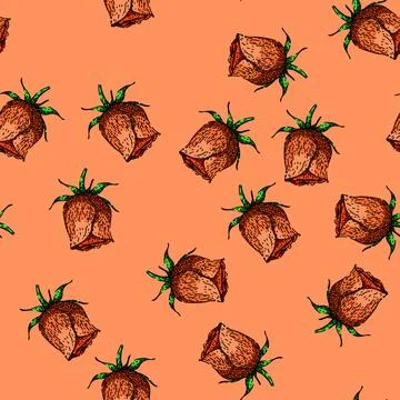 Pattern garden rose sketch hand drawn Stock Illustration