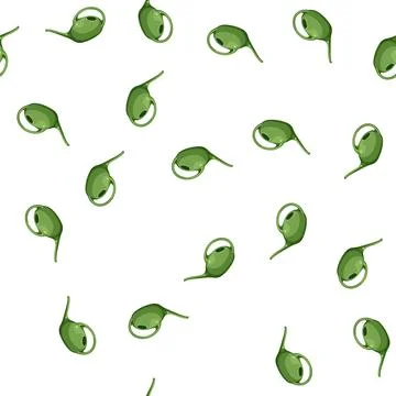 Pattern garden watering can cartoon vector Illustration