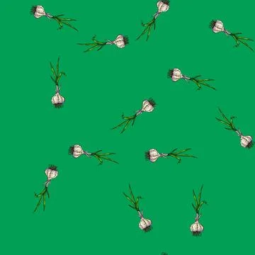 Pattern garlic bulb green stalk sketch hand drawn Stock Illustration