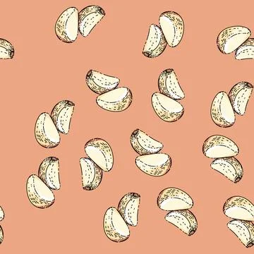 Pattern garlic cloves peeled sketch hand drawn Stock Illustration
