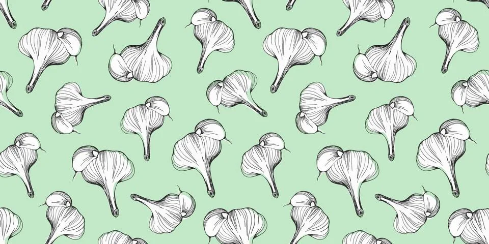 Pattern of garlic on a green background. hand drawn vector illustration Stock Illustration