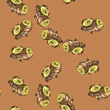 Pattern ginger cut root sketch hand drawn Stock Illustration
