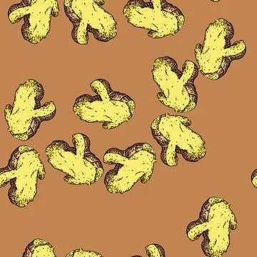 Pattern ginger cut slice sketch hand drawn Stock Illustration