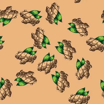 Pattern ginger food sketch hand drawn illustration 库存插图