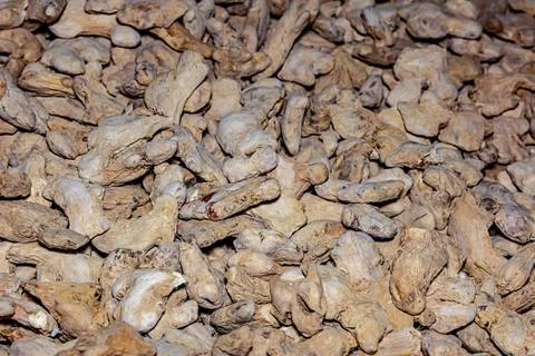 Pattern ginger root many vegetables dried spices spice spicy spicy Stock Photos