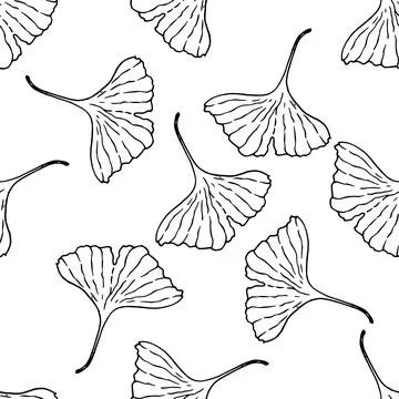 A pattern of ginkgo biloba leaf, hand-drawn in sketch style highlighted in black Stock Illustration