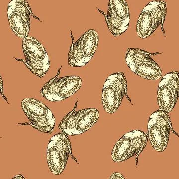 Pattern ginseng root cut sketch hand drawn Stock Illustration