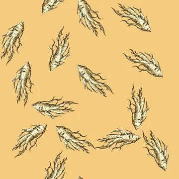 Pattern ginseng root medicine sketch hand drawn Stock Illustration
