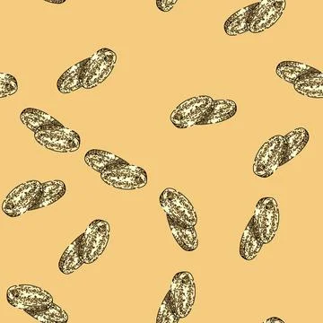Pattern ginseng root slice sketch hand drawn Stock Illustration