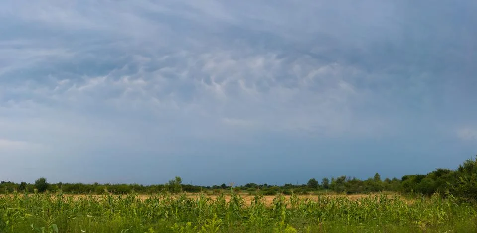 Pattern in gloomy clouds during incoming storm above corn field Stock Photos