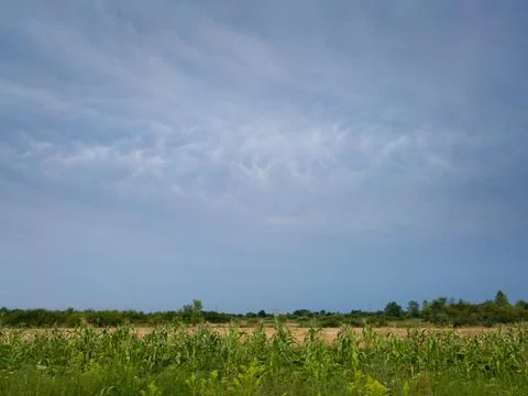 Pattern in gloomy clouds during incoming storm above corn field Stock Photos