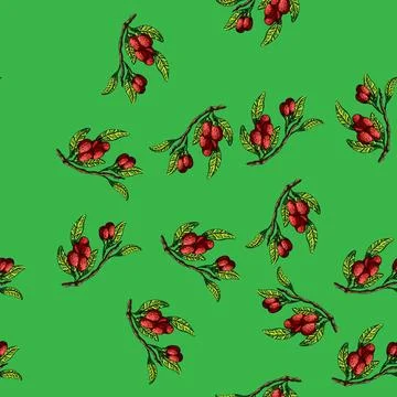 Pattern goji branch sketch hand drawn Stock Illustration