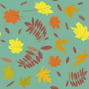 Pattern golden autumn leaves of maple and rowan Illustrazione stock