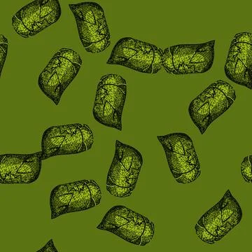 Pattern gourmet dolma sketch hand drawn Stock Illustration