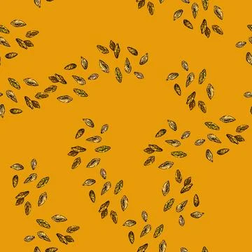 Pattern grain barley sketch hand drawn Stock Illustration