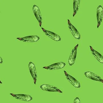 Pattern grain corn sketch hand drawn イラスト素材
