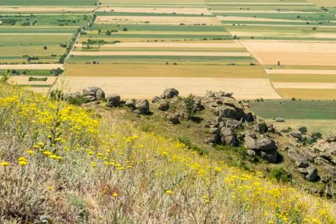 Pattern with grain fields and other crops, as seen from a hilltop 库存照片