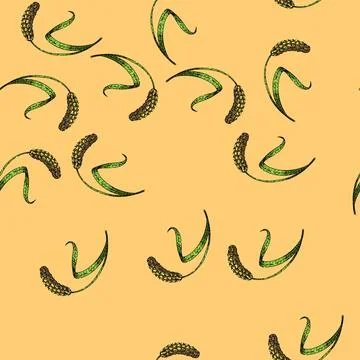 Pattern grain millet sketch hand drawn Stock Illustration