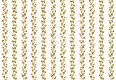 Pattern grain, rye, millet, seamless, Bread and flour background pattern. Vector Stock Illustration
